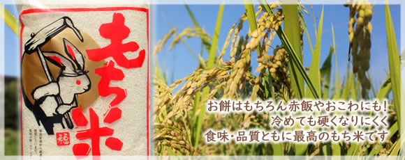 ���݂͂������Ԕт₨����ɂ��������߁I�����ā@�킽�ڂ���